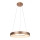 Rabalux - Светодиодная люстра на тросе CARMELLA LED/80W/230V