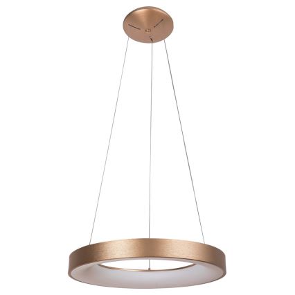 Rabalux - Светодиодная люстра на тросе CARMELLA LED/80W/230V