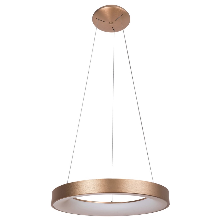 Rabalux - Светодиодная люстра на тросе CARMELLA LED/80W/230V