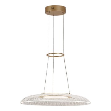 Rabalux - Светодиодная люстра на тросе LED/24W/230V 3000K
