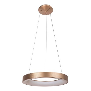 Rabalux - Светодиодная подвесная люстра CARMELLA LED/50W/230V