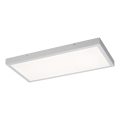 Rabalux - Светодиодная припотолочная панель LED/24W/230V 4000K 60x30 см