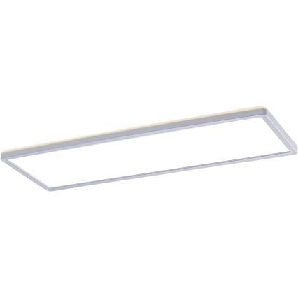Rabalux - Светодиодная припотолочная панель LED/22W/230V