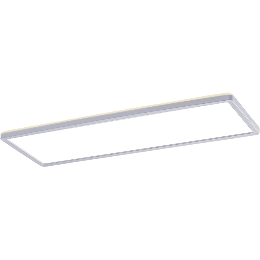 Rabalux - Светодиодная припотолочная панель LED/22W/230V