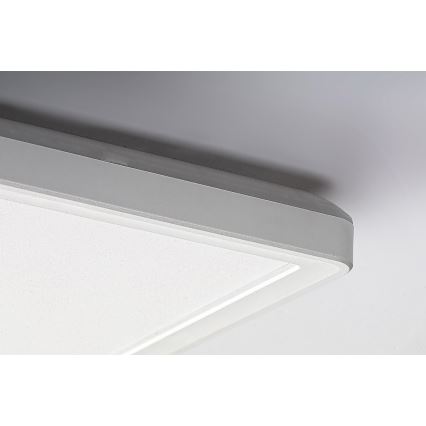 Rabalux - Светодиодная припотолочная панель LED/22W/230V