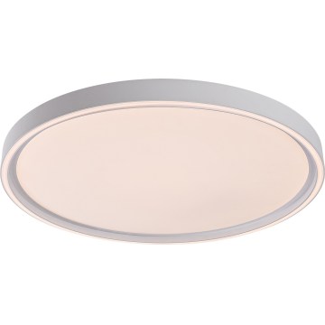 Rabalux - светодиодный диммируемый потолочный светильник LED/54W/230V IP40 3000-6500K диам. 52 cm + пульт дистанционного управления
