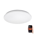 Rabalux - Светодиодный потолочный RGB-светильник с регулированием яркости LED/24W/230V Wi-Fi Tuya 3000-6500K 31 см