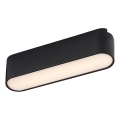 Rabalux - Светодиодный потолочный светильник для 1-фазной трековой системы LED/6W/230V 3000K 11,5 см черный