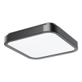 Rabalux - Светодиодный потолочный светильник для ванной комнаты LED/18W/230V IP44 4000K 25x25 см черный
