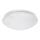 Rabalux - Светодиодный потолочный светильник LED/12W/230V