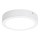 Rabalux - Светодиодный потолочный светильник LED/15W/230V 4000K диаметр 16 см белый