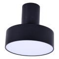 Rabalux - Светодиодный потолочный светильник LED/16W/230V 3000K черный