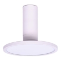 Rabalux - Светодиодный потолочный светильник LED/20W/230V 3000K белый