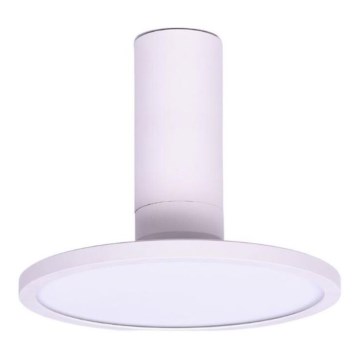 Rabalux - Светодиодный потолочный светильник LED/20W/230V 3000K белый