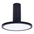 Rabalux - Светодиодный потолочный светильник LED/20W/230V 3000K черный