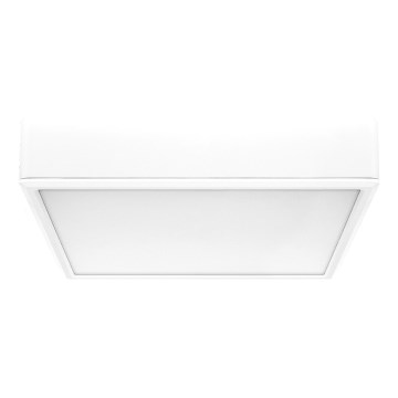 Rabalux - Светодиодный потолочный светильник LED/22W/230V 3000/4000/6000K 21x21 см белый