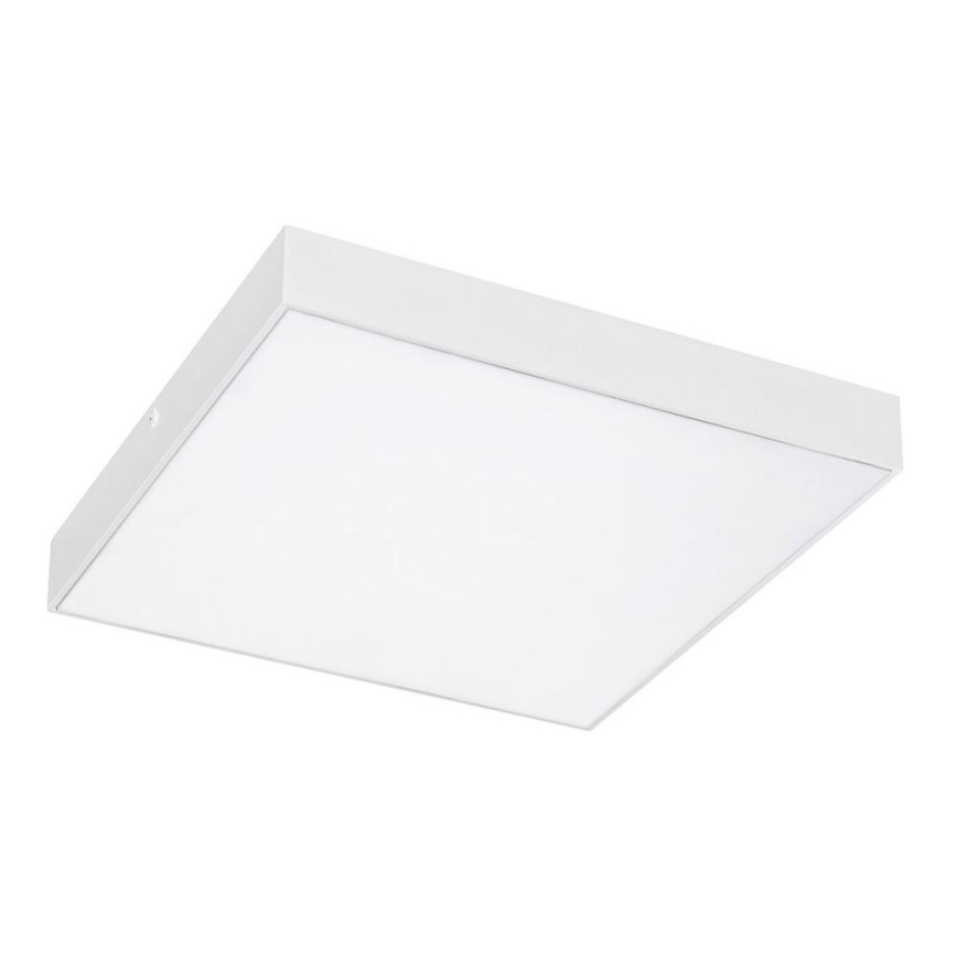 Rabalux - Светодиодный потолочный светильник LED/24W/230V 3000-6000K IP44 белый