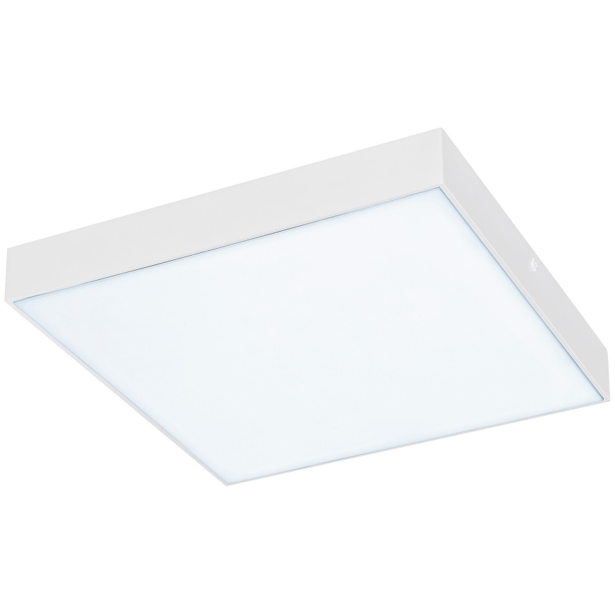 Rabalux - Светодиодный потолочный светильник LED/24W/230V 3000-6000K IP44 белый