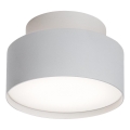 Rabalux - Светодиодный потолочный светильник LED/24W/230V 3000K белый