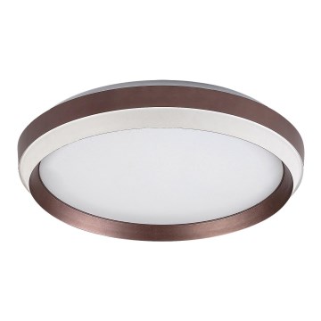 Rabalux - Светодиодный потолочный светильник LED/24W/230V 3000K
