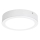 Rabalux - Светодиодный потолочный светильник LED/24W/230V 4000K диаметр 22 см белый