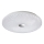 Rabalux - Светодиодный потолочный светильник LED/24W/230V 4000K диаметр 40 см