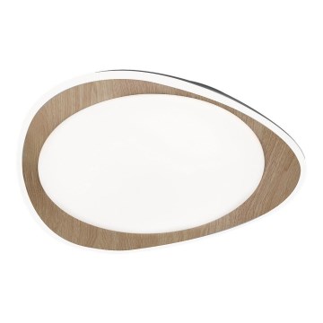 Rabalux - Светодиодный потолочный светильник LED/24W/230V