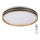 Rabalux - Светодиодный потолочный светильник с регулированием яркости LED/24W/230V 3000-6500K + дистанционное управление