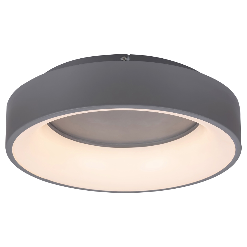 Rabalux - Светодиодный потолочный светильник с регулированием яркости LED/24W/230V круглый 3000-6000K + дистанционное управление