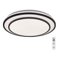 Rabalux - Светодиодный потолочный светильник с регулированием яркости LED/40W/230V 3000-6500K черный + дистанционное управление