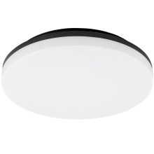 Rabalux - Светодиодный потолочный светильник для ванной комнаты LED/24W/230V IP54
