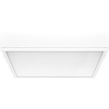 Rabalux - Светодиодный потолочный светильник LED/22W/230V 3000/4000/6000K 21x21 см белый