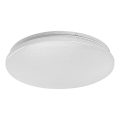 Rabalux - Світильник стельовий LED/12W/230V 4000K 25 см