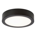 Rabalux - Світильник стельовий LED/24W/230V діам. 22 см