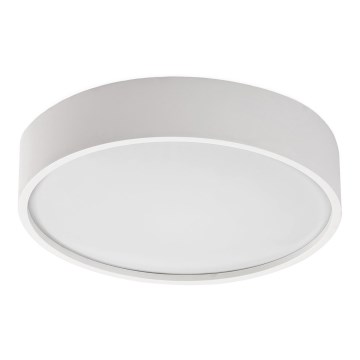 Rabalux - Світильник стельовий LED з сенсором LED/19Вт/230В IP44 4000K діам. 28,5 см білий