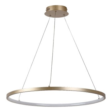Rabalux - світлодіодна люстра на тросі LED/55W/230V 3000K