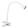 Rabalux - Світлодіодна настільна лампа з затискачем 1xLED/4,5W/230V