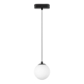Rabalux - Світлодіодна підвісна люстра до 1-фазної трекової системи LED/5W/230V 4000K чорний