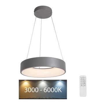 Rabalux - Світлодіодна регульована люстра на тросі LED/24W/230V кругла 3000-6000K + дистанційне керування