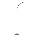Rabalux - Світлодіодна регульована торшерна лампа з сенсорним керуванням LED/10W/230V 3000-6000K чорна