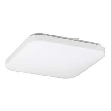 Rabalux - Світлодіодний стельовий світильник 1xLED/20W/230V