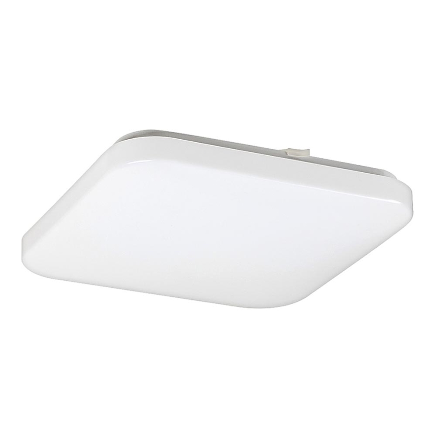 Rabalux - Світлодіодний стельовий світильник 1xLED/20W/230V