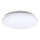 Rabalux - Світлодіодний стельовий світильник 1xLED/20W/230V