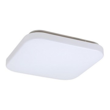 Rabalux - Світлодіодний стельовий світильник 1xLED/20W/230V