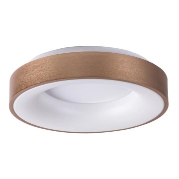 Rabalux - Світлодіодний стельовий світильник CARMELA LED/30W/230V