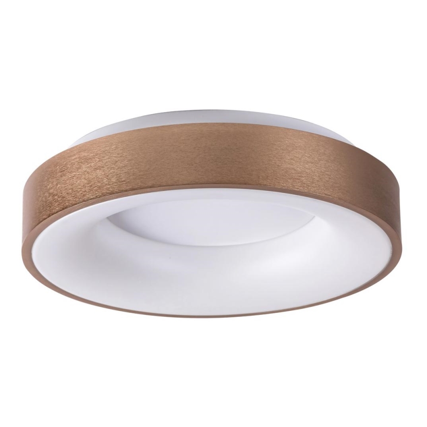 Rabalux - Світлодіодний стельовий світильник CARMELA LED/30W/230V