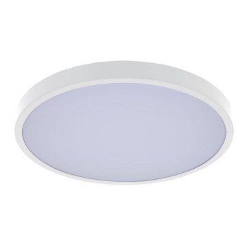 Rabalux - Світлодіодний стельовий світильник для ванної кімнати LED/12W/230V 3000/4000/6000K IP44 діаметр 25,5 cm білий