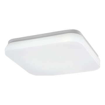 Rabalux - Світлодіодний стельовий світильник для ванної кімнати LED/12W/230V 3000/4000/6000K IP44