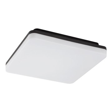 Rabalux - Світлодіодний стельовий світильник для ванної кімнати LED/24W/230V IP54
