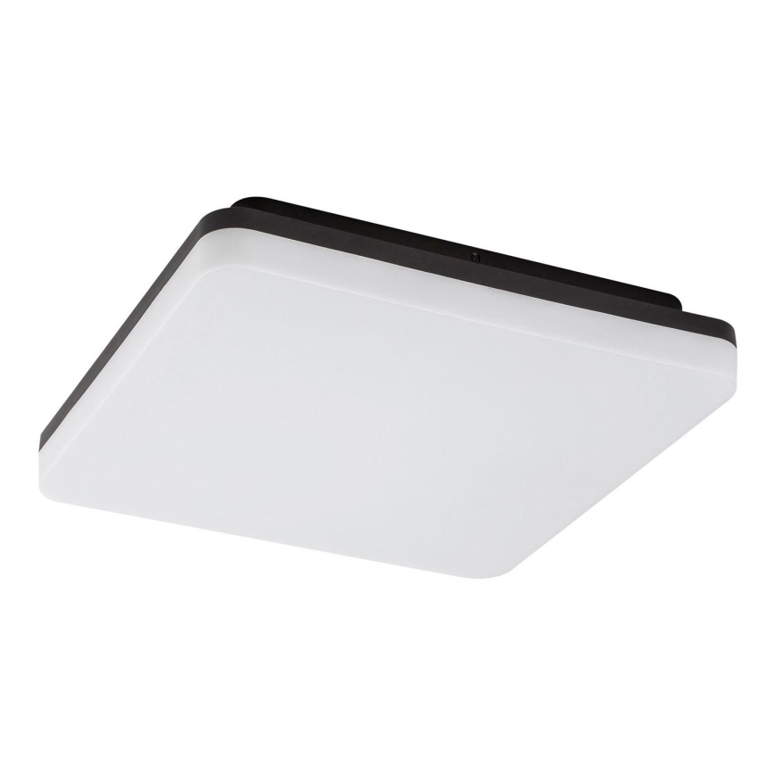 Rabalux - Світлодіодний стельовий світильник для ванної кімнати LED/24W/230V IP54